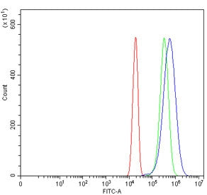 NARF Antibody / NLK-associated RING finger protein / RNF138