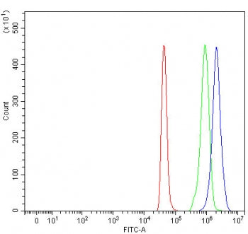 NEDD1 Antibody