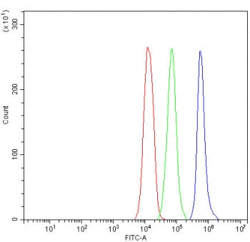 Bcl-XL Antibody