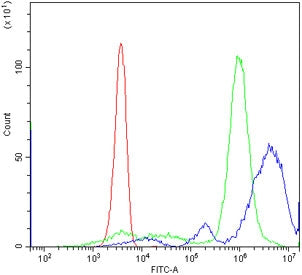 CXCR1 Antibody