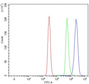 Flow cytometry testing of human U937 cells with ADAM10 antibody at 1ug/million cells (blocked with g