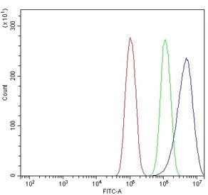SRD5A1 Antibody