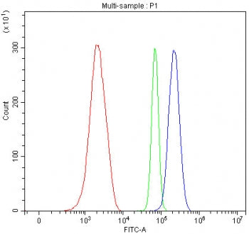 Flow cytometry testing of mouse ANA-1 cells with Y-box-binding protein 1 antibody at 1ug/million cel