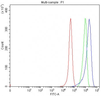 Flow cytometry testing of human RT4 cells with SHROOM4 antibody at 1ug/million cells (blocked with g