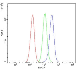 ALDH2 Antibody
