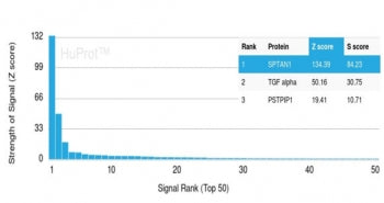 Analysis of a HuProt(TM) microarray containing more than 19,000 full-length human proteins using Alp