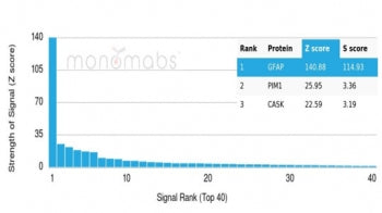 Analysis of a HuProt(TM) microarray containing more than 19,000 full-length human proteins using ant