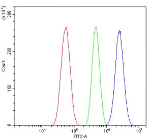 Flow cytometry testing of human U-87 MG cells with UBE3A antibody at 1ug/million cells (blocked with