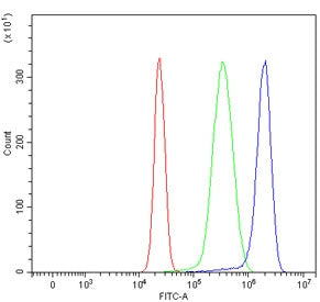 Flow cytometry testing of human HepG2 cells with Niemann Pick C1 antibody at 1ug/million cells (bloc