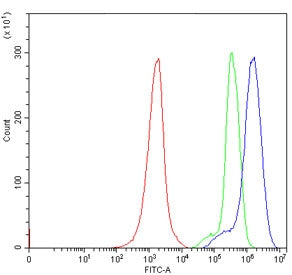 IRE2 Antibody / ERN2