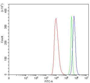 Interleukin-1 receptor-like 1 Antibody / IL1RL1 / ST2