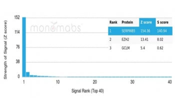 Analysis of HuProt(TM) microarray containing more than 19,000 full-length human proteins using SERPI