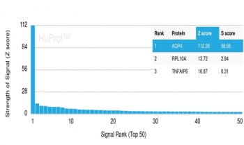 Analysis of HuProt(TM) microarray containing more than 19,000 full-length human proteins using AQP4