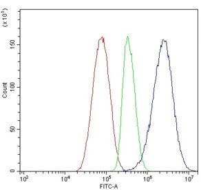 APOA5 Antibody / Apolipoprotein A-V