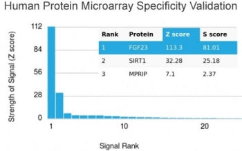 Analysis of HuProt(TM) microarray containing more than 19,000 full-length human proteins using FGF23