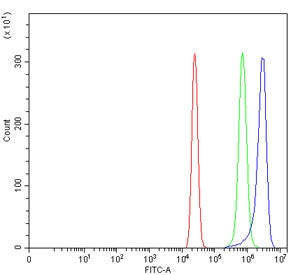 WIPF3 Antibody / CR16