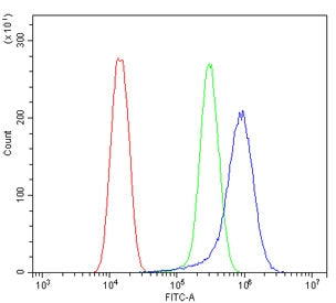 Flow cytometry testing of human U-2 OS cells with LGI1 antibody at 1ug/million cells (blocked with g