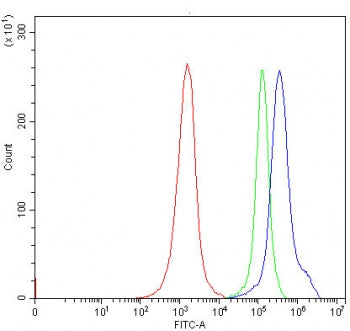Flow cytometry testing of human Jurkat cells with Thymidine Kinase 2 antibody at 1ug/million cells (