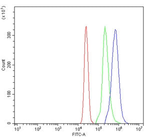 Dectin 1 Antibody / CLEC7A