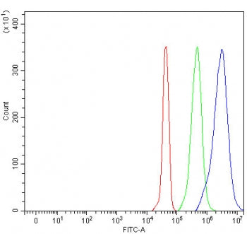 PRAM1 Antibody