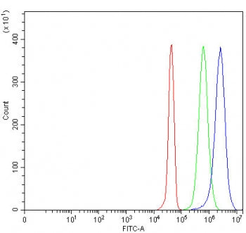 PRSS27 Antibody / Serine protease 27 / Marapsin