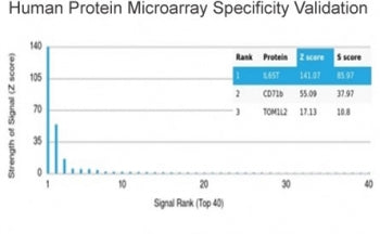 Interleukin 6 Receptor subunit beta Antibody / IL6ST / CD130