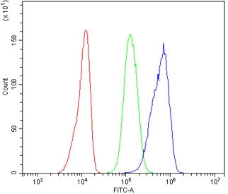 MASP2 Antibody