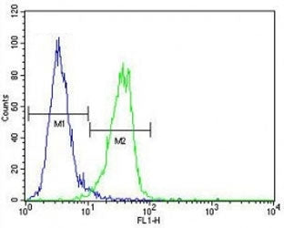 MeCP2 Antibody