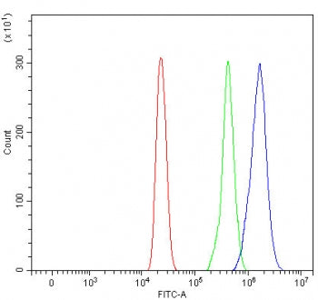 Flow cytometry testing of fixed and permeabilized human HL60 cells with RIO2 antibody at 1ug/million