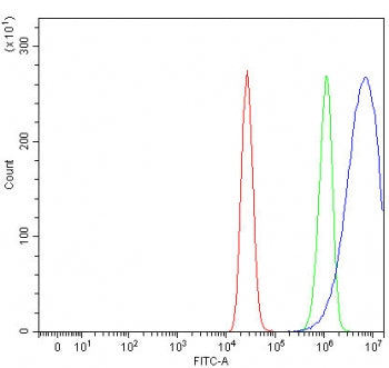 Flow cytometry testing of fixed and permeabilized human MCF7 cells with Ninein antibody at 1ug/milli