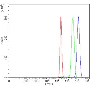 Flow cytometry testing of human HL60 cells with MPO antibody at 1ug/million cells (blocked with goat
