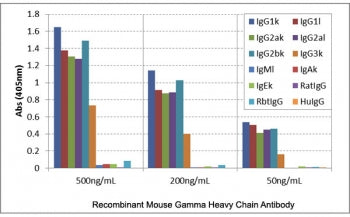 IgG Heavy Chain Antibody