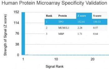 Analysis of HuProt(TM) microarray containing more than 19,000 full-length human proteins using TPO a