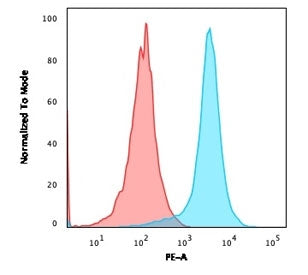 CD31 Antibody / PECAM-1