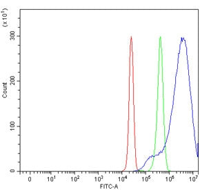 MIPOL1 Antibody / Mirror Image Polydactyly 1