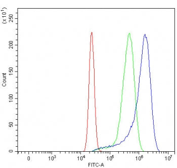 Flow cytometry testing of human U-2 OS cells with Fibroblast growth factor receptor 2 antibody at 1u