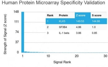 Kallikrein 5 Antibody / KLK5