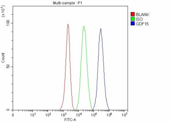 Flow Cytometry analysis of EL-4 cells using anti-Gdf15 antibody. Overlay histogram showing EL-4 cell