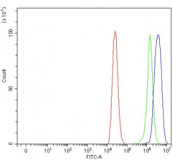 OIT3 Antibody / Oncoprotein-induced transcript 3 protein