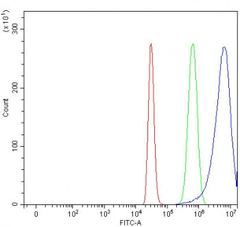 Flow cytometry testing of fixed and permeabilized human HepG2 cells with NAA16 antibody at 1ug/milli