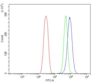 BCMA Antibody / Cd269 / Tnfrsf17