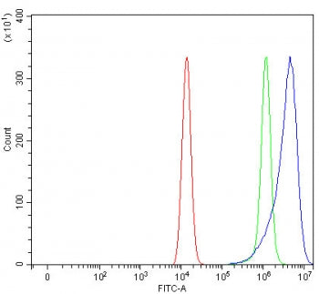 Flow cytometry testing of fixed and permeabilized human HEL cells with Chronophin antibody at 1ug/mi