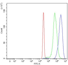 ASXL1 Antibody