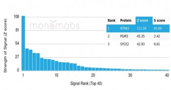Analysis of a HuProt(TM) microarray containing more than 19,000 full-length human proteins using NTR