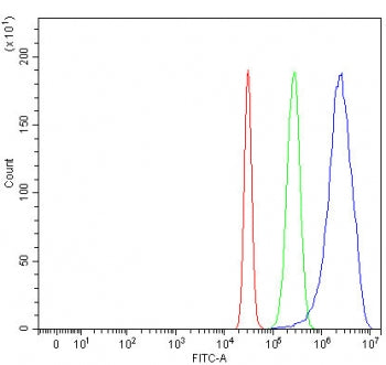Flow cytometry testing of human HepG2 cells with SMOC1 antibody at 1ug/million cells (blocked with g