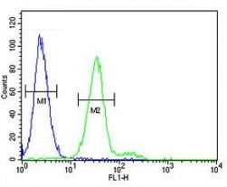 CD117 antibody flow cytometric analysis of 293 cells (green) compared to a negative control cell (bl