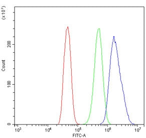 Flow cytometry testing of human Caco-2 cells with DUSP1 antibody at 1ug/million cells (blocked with