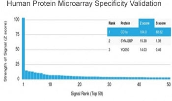 Analysis of HuProt(TM) microarray containing more than 19,000 full-length human proteins using CD1a