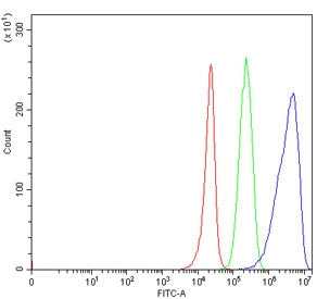 Flow cytometry testing of human 293T cells with TRMT44 antibody at 1ug/million cells (blocked with g