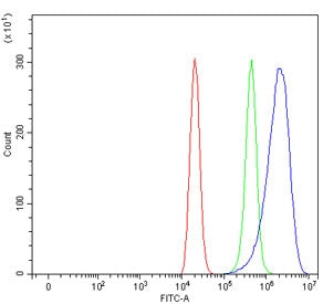 AMCase Antibody / CHIA